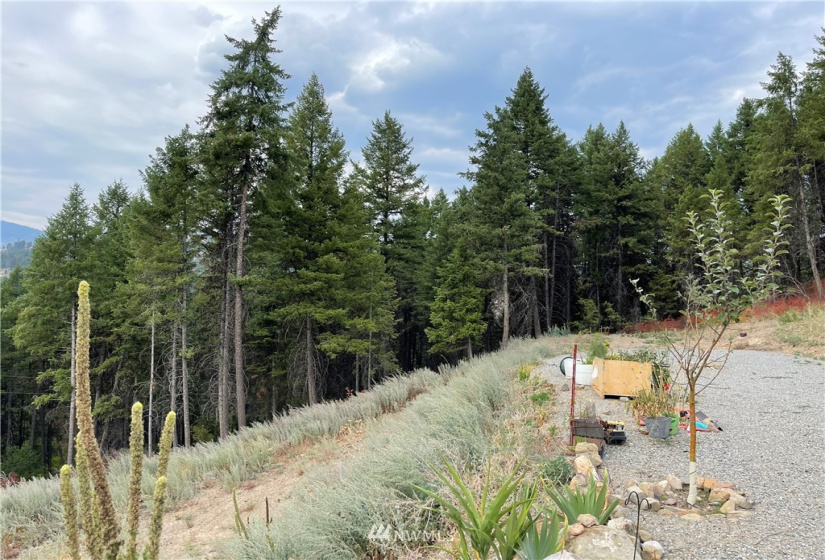 57 Slippery Hill, Republic, Washington 99166, 3 Bedrooms Bedrooms, ,1 BathroomBathrooms,Residential,For Sale,Slippery Hill,NWM1831147