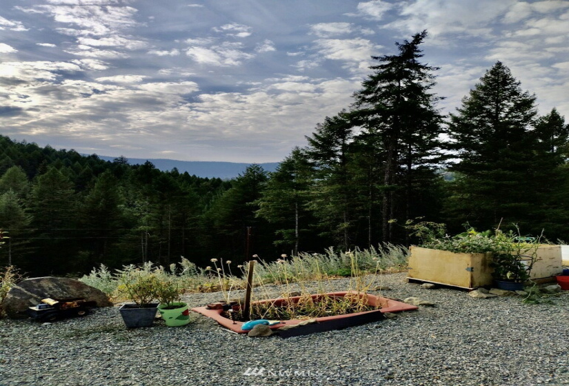 57 Slippery Hill, Republic, Washington 99166, 3 Bedrooms Bedrooms, ,1 BathroomBathrooms,Residential,For Sale,Slippery Hill,NWM1831147