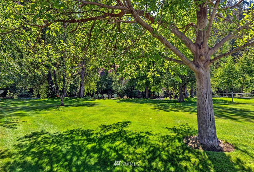 7259 Entiat River Road, Entiat, Washington 98822, 3 Bedrooms Bedrooms, ,2 BathroomsBathrooms,Manufactured In Park,For Sale,Entiat River Road,NWM1831579