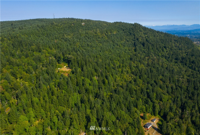 2392 36th, Bellingham, Washington 98226, ,Land,For Sale,36th,NWM1830078