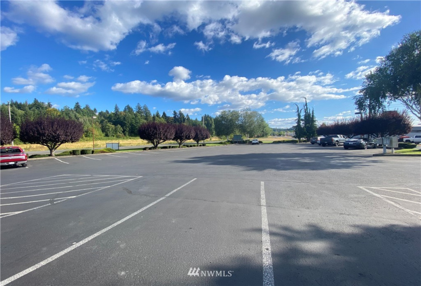 1611 Kresky, Centralia, Washington 98531, ,Commercial Sale,For Sale,Kresky,NWM1830900