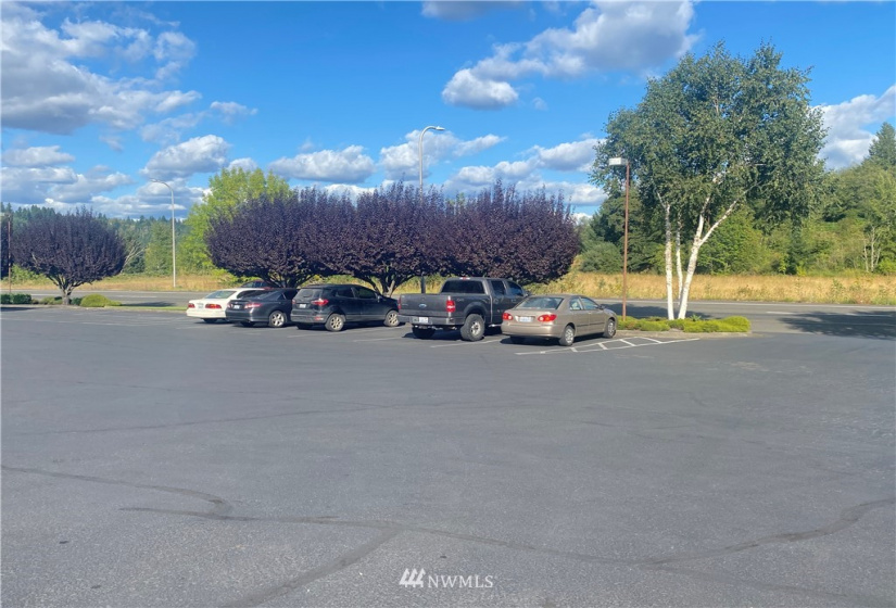 1611 Kresky, Centralia, Washington 98531, ,Commercial Sale,For Sale,Kresky,NWM1830900