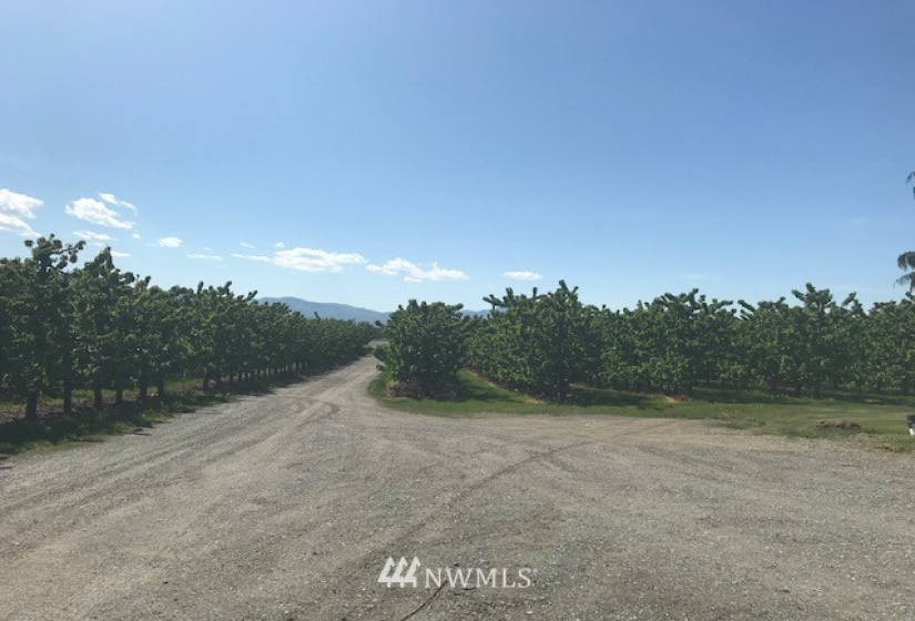 511 Van Well, East Wenatchee, Washington 98802, ,Residential,For Sale,Van Well,NWM1816465