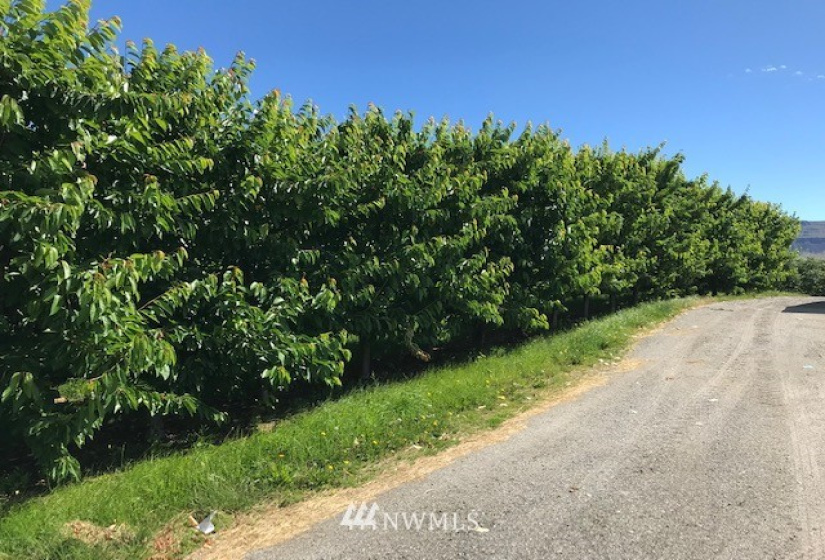 511 Van Well, East Wenatchee, Washington 98802, ,Residential,For Sale,Van Well,NWM1816465