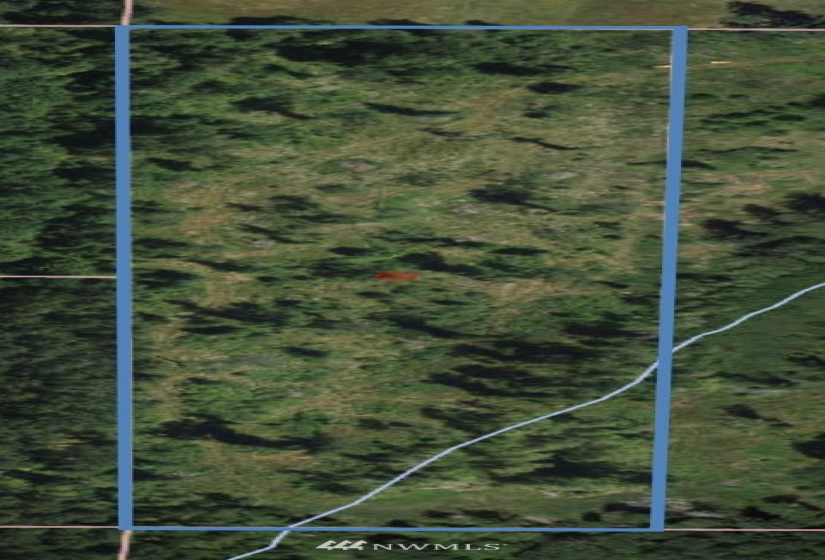 0 40th, Roy, Washington 98580, ,Land,For Sale,40th,NWM1832139