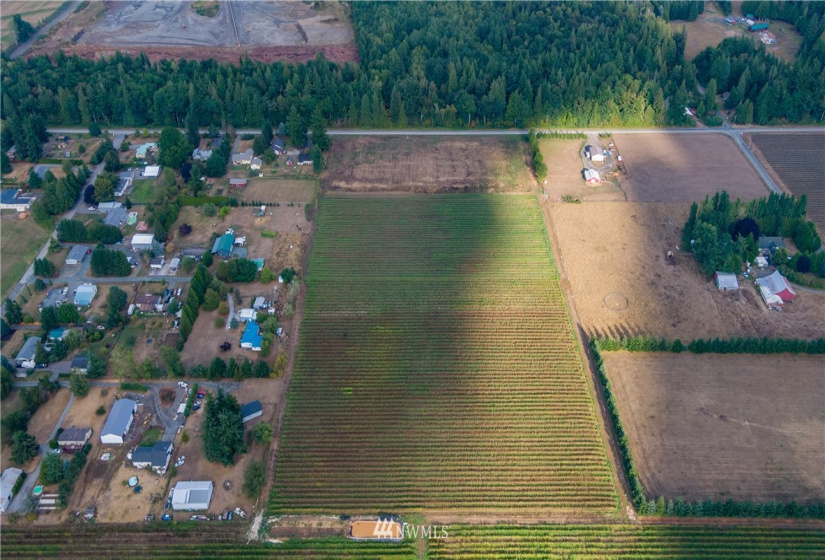 6597 Mission, Everson, Washington 98247, ,Land,For Sale,LJ Properties APO Cluster Short Plat,Mission,NWM1831653