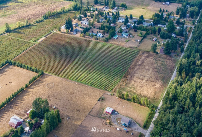 6597 Mission, Everson, Washington 98247, ,Land,For Sale,LJ Properties APO Cluster Short Plat,Mission,NWM1831653