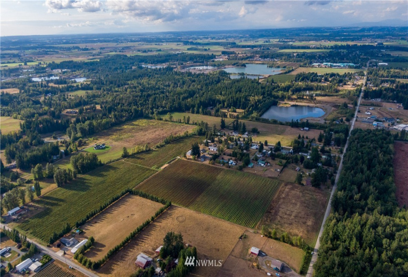 6597 Mission, Everson, Washington 98247, ,Land,For Sale,LJ Properties APO Cluster Short Plat,Mission,NWM1831653