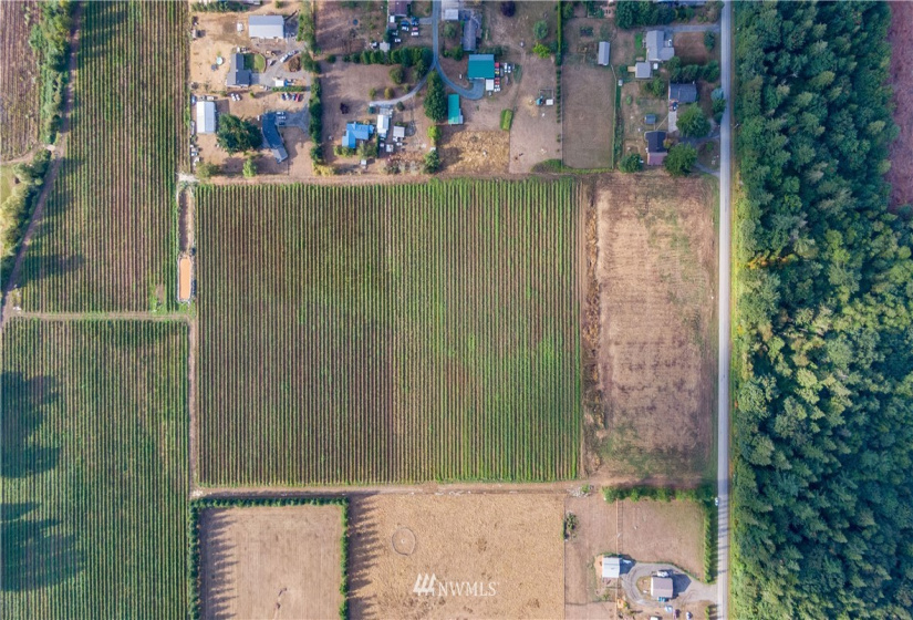 6597 Mission, Everson, Washington 98247, ,Land,For Sale,LJ Properties APO Cluster Short Plat,Mission,NWM1831653