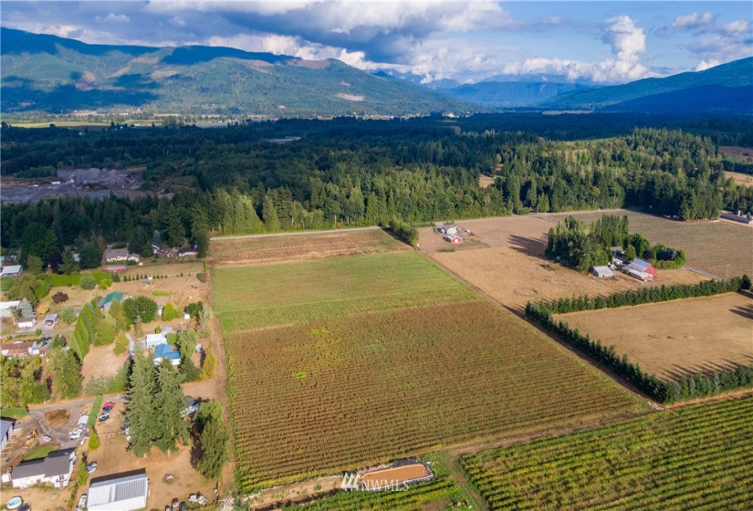 6597 Mission, Everson, Washington 98247, ,Land,For Sale,LJ Properties APO Cluster Short Plat,Mission,NWM1831653