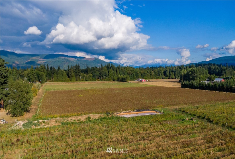 6597 Mission, Everson, Washington 98247, ,Land,For Sale,LJ Properties APO Cluster Short Plat,Mission,NWM1831653
