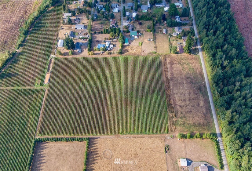 6585 Mission, Everson, Washington 98247, ,Land,For Sale,LJ Properties APO Cluster Short Plat,Mission,NWM1831651
