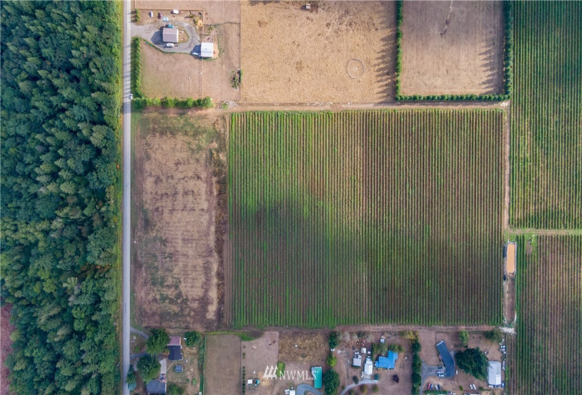 6585 Mission, Everson, Washington 98247, ,Land,For Sale,LJ Properties APO Cluster Short Plat,Mission,NWM1831651