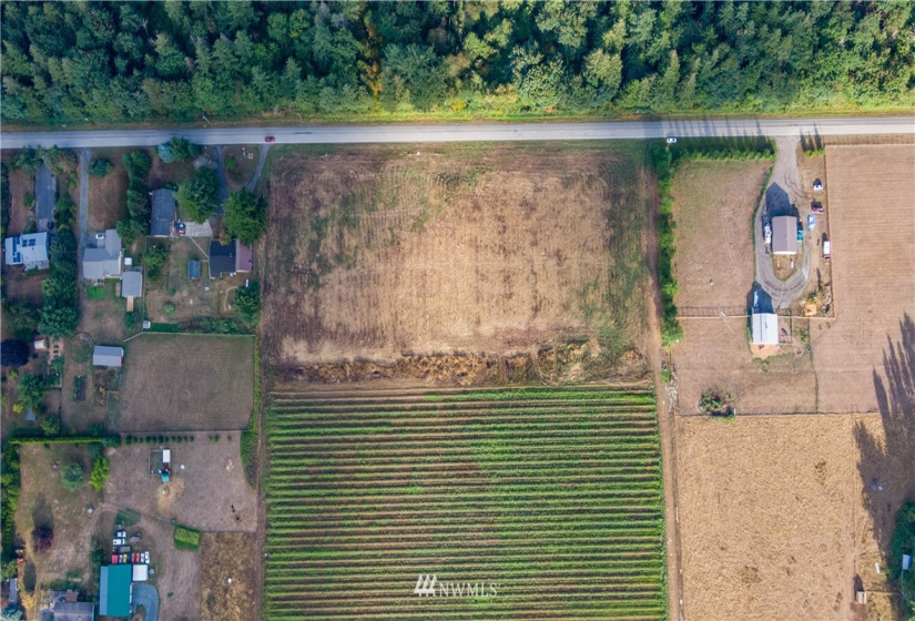 6561 Mission, Everson, Washington 98247, ,Land,For Sale,Mission,NWM1831658