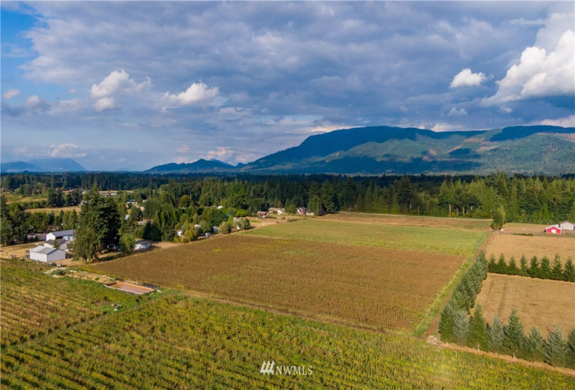 6561 Mission, Everson, Washington 98247, ,Land,For Sale,Mission,NWM1831658