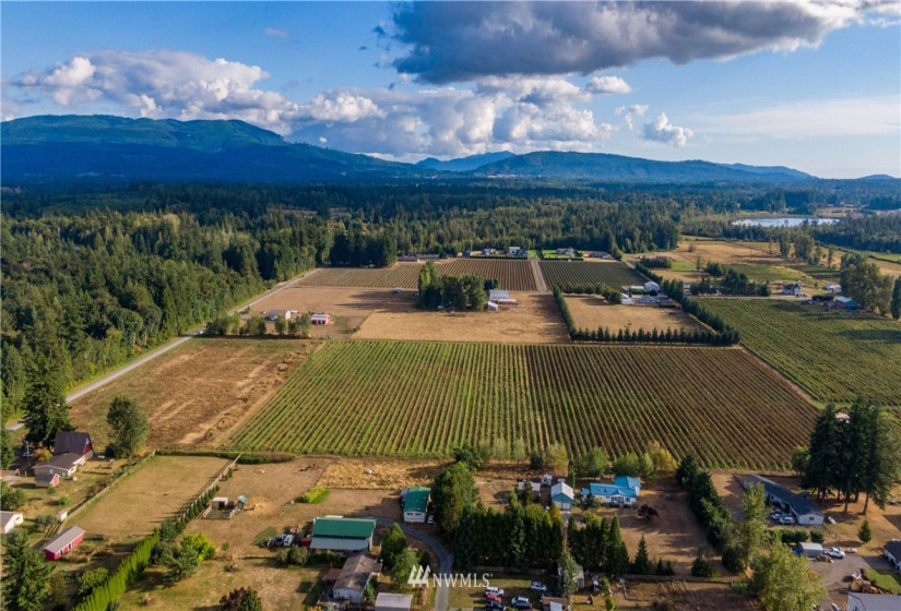 6561 Mission, Everson, Washington 98247, ,Land,For Sale,Mission,NWM1831658