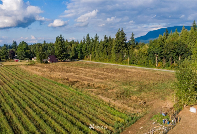 6561 Mission, Everson, Washington 98247, ,Land,For Sale,Mission,NWM1831658