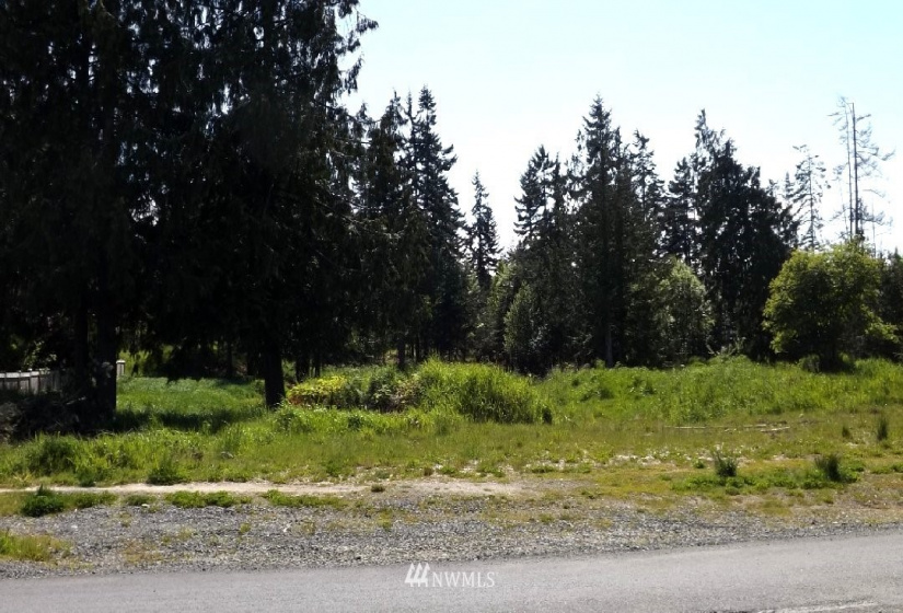 9999 14th btw N and O St, Port Angeles, Washington 98363, ,Land,For Sale,14th btw N and O St,NWM1832177