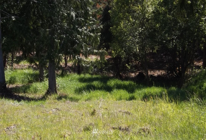 9999 14th btw N and O St, Port Angeles, Washington 98363, ,Land,For Sale,14th btw N and O St,NWM1832177