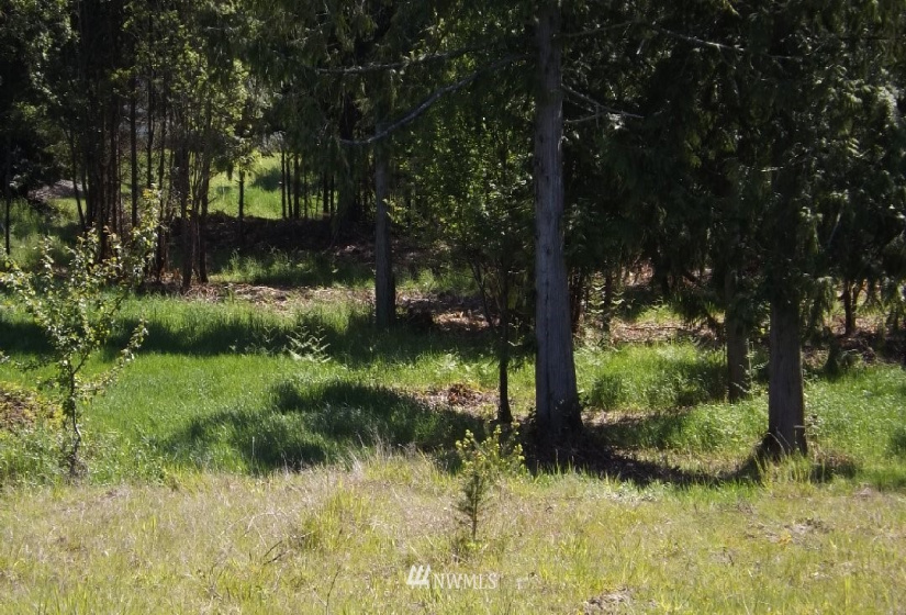 9999 14th btw N and O St, Port Angeles, Washington 98363, ,Land,For Sale,14th btw N and O St,NWM1832177