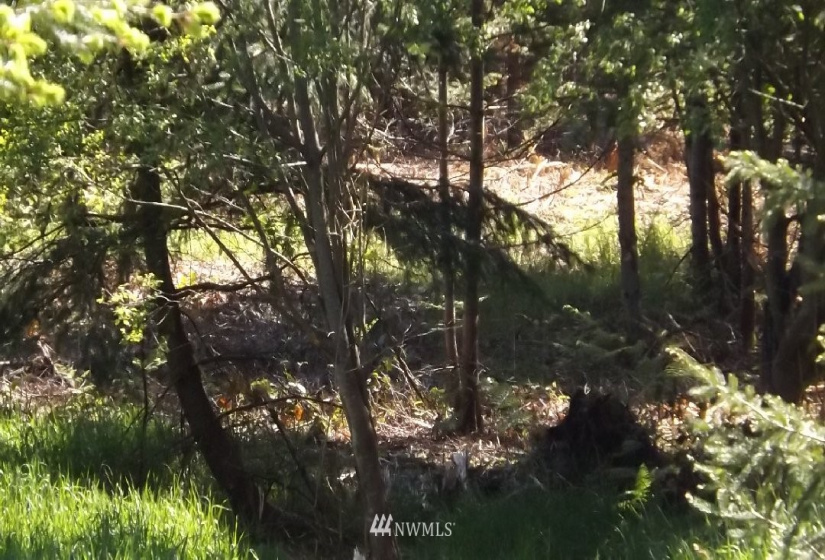 9999 14th btw N and O St, Port Angeles, Washington 98363, ,Land,For Sale,14th btw N and O St,NWM1832177