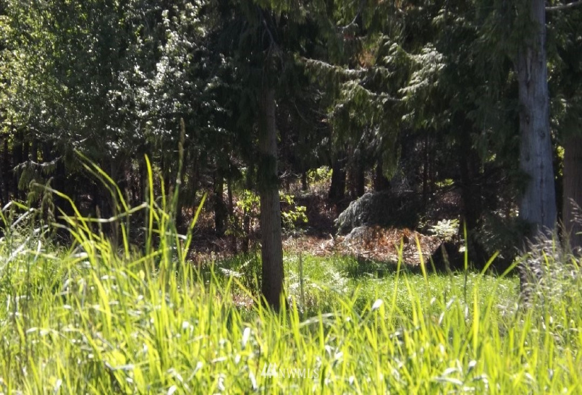 9999 14th btw N and O St, Port Angeles, Washington 98363, ,Land,For Sale,14th btw N and O St,NWM1832177