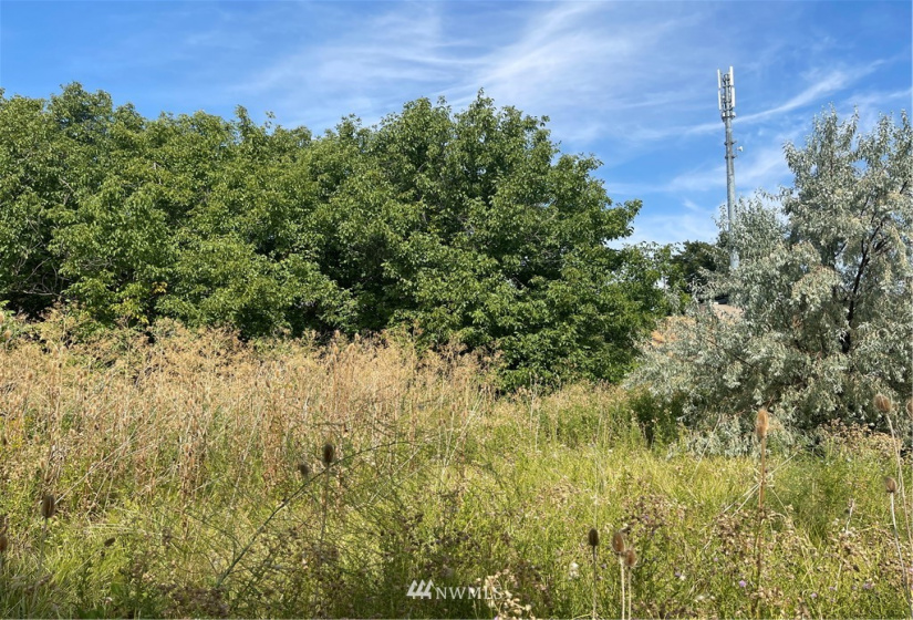 1703 Twin Creek, Walla Walla, Washington 99362, ,Land,For Sale,Twin Creek,NWM1819201