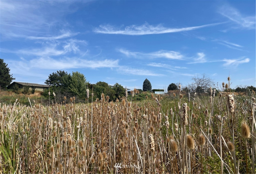 1703 Twin Creek, Walla Walla, Washington 99362, ,Land,For Sale,Twin Creek,NWM1819201