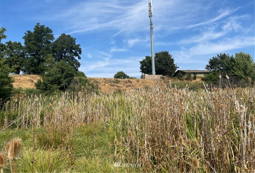 1703 Twin Creek, Walla Walla, Washington 99362, ,Land,For Sale,Twin Creek,NWM1819201