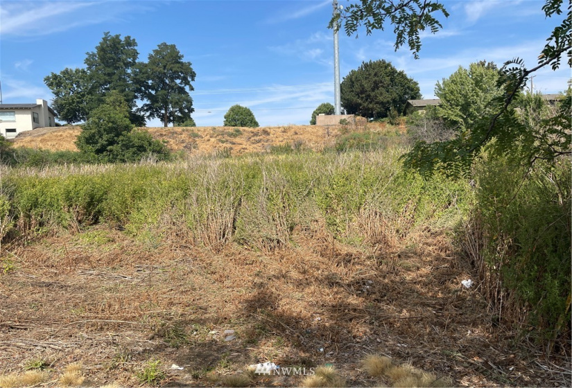 1703 Twin Creek, Walla Walla, Washington 99362, ,Land,For Sale,Twin Creek,NWM1819201