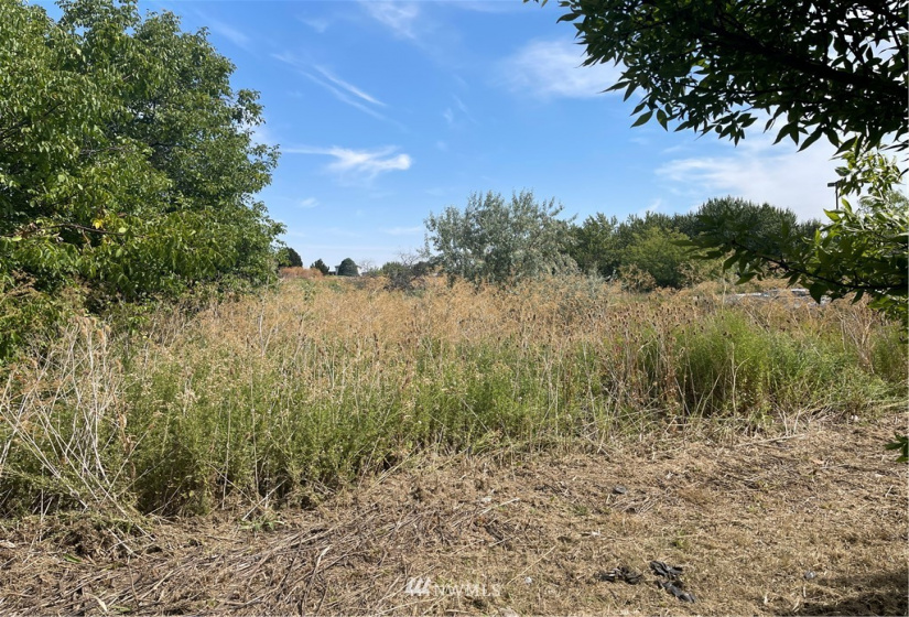 1703 Twin Creek, Walla Walla, Washington 99362, ,Land,For Sale,Twin Creek,NWM1819201