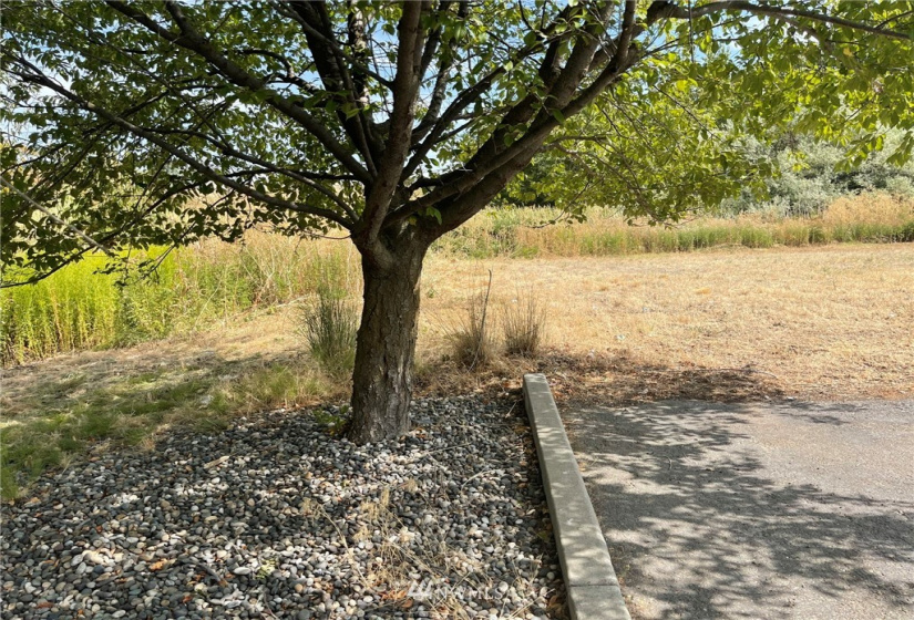 1703 Twin Creek, Walla Walla, Washington 99362, ,Land,For Sale,Twin Creek,NWM1819201