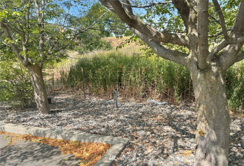 1703 Twin Creek, Walla Walla, Washington 99362, ,Land,For Sale,Twin Creek,NWM1819201