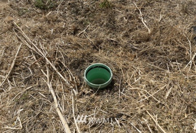 1703 Twin Creek, Walla Walla, Washington 99362, ,Land,For Sale,Twin Creek,NWM1819201