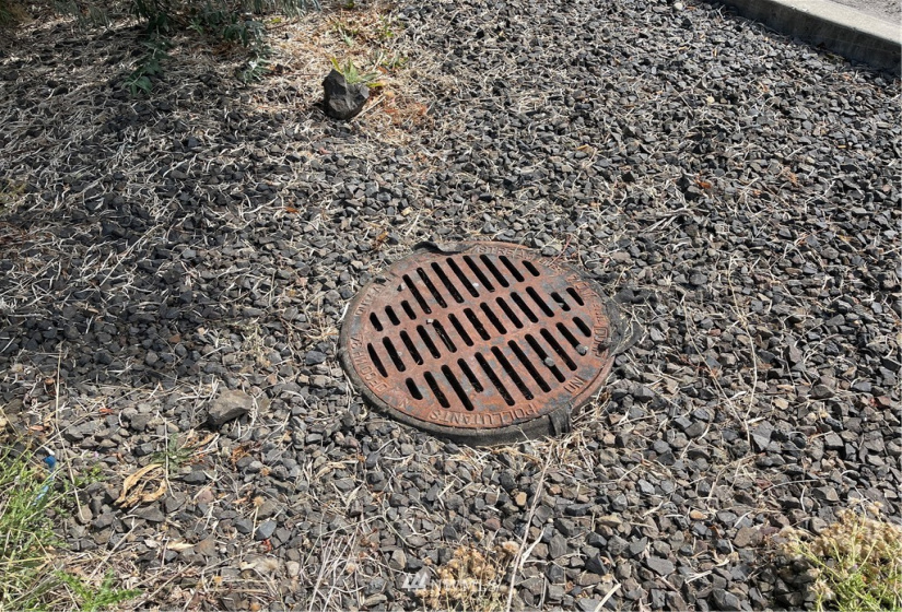 1703 Twin Creek, Walla Walla, Washington 99362, ,Land,For Sale,Twin Creek,NWM1819201