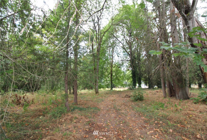 10420 62nd, Puyallup, Washington 98373, ,Land,For Sale,62nd,NWM1832257