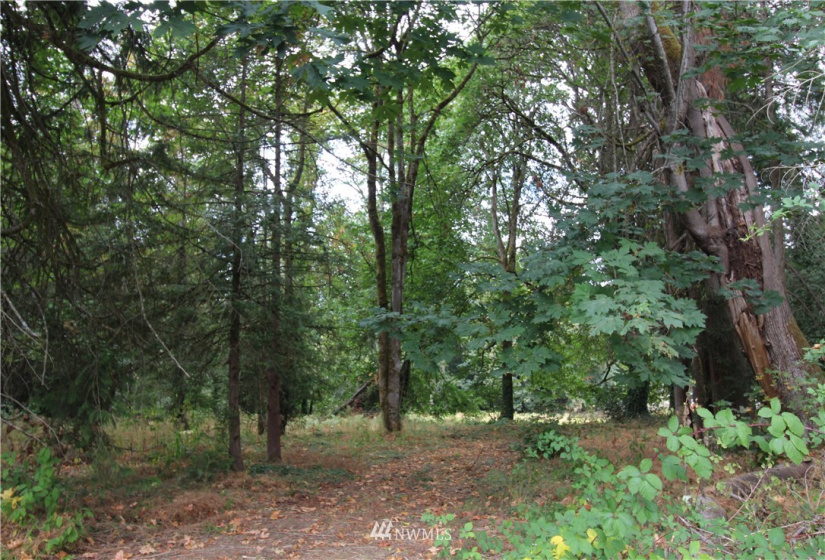 10420 62nd, Puyallup, Washington 98373, ,Land,For Sale,62nd,NWM1832257