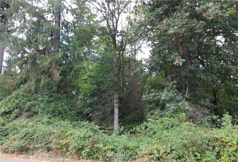 10420 62nd, Puyallup, Washington 98373, ,Land,For Sale,62nd,NWM1832257