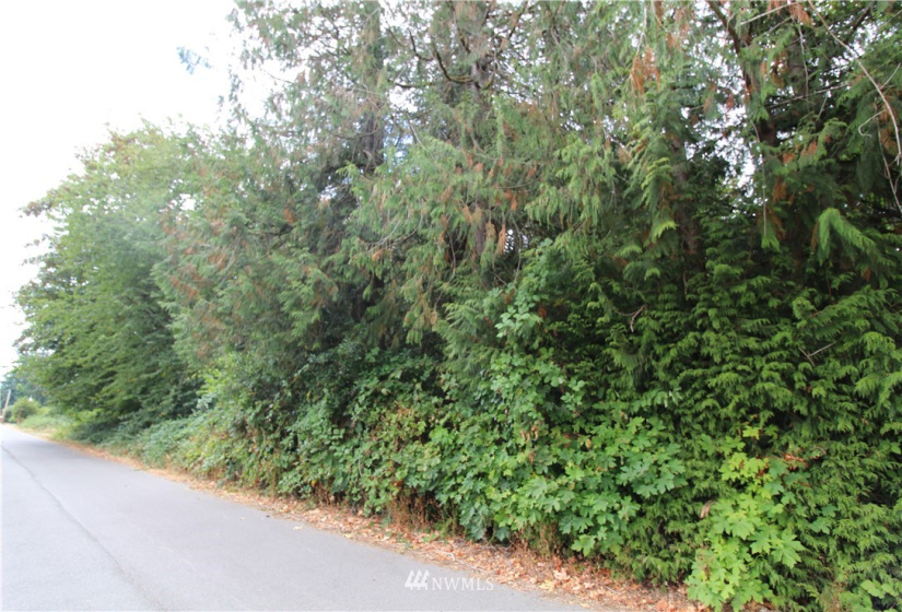 10420 62nd, Puyallup, Washington 98373, ,Land,For Sale,62nd,NWM1832257