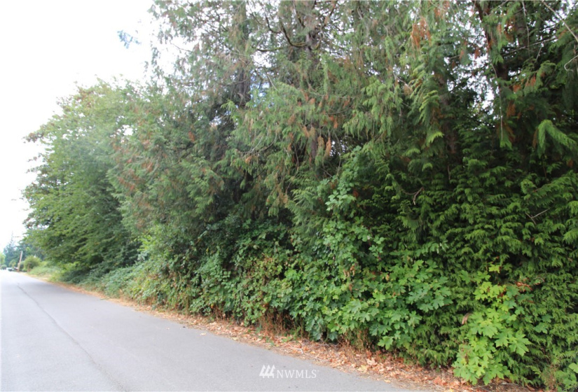 10420 62nd, Puyallup, Washington 98373, ,Land,For Sale,62nd,NWM1832257