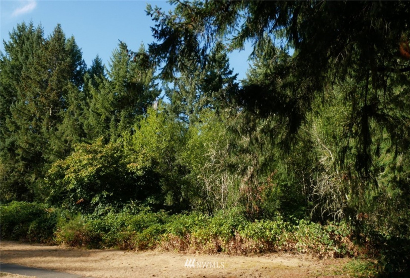 6428 5th Way, Lacey, Washington 98509, ,Land,For Sale,5th Way,NWM1832073