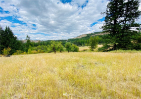 219 Wolfe Camp, Republic, Washington 99166, ,Land,For Sale,Wolfe Camp,NWM1832961