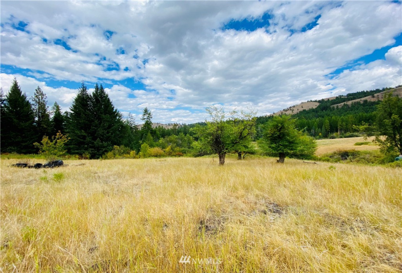 219 Wolfe Camp, Republic, Washington 99166, ,Land,For Sale,Wolfe Camp,NWM1832961