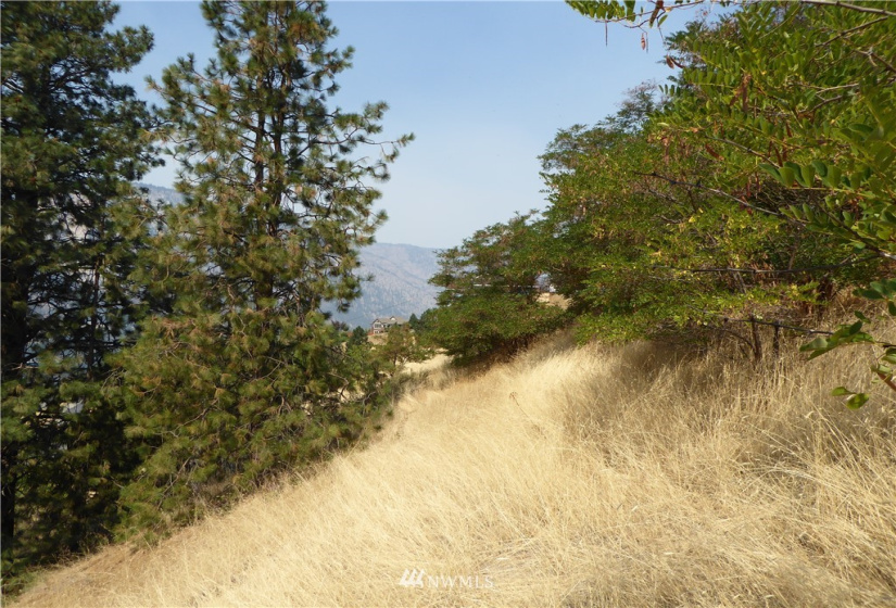 845 Summit, Manson, Washington 98831, ,Land,For Sale,COE 2012 - 20,Summit,NWM1832871