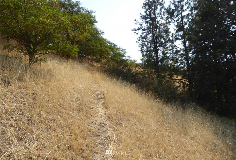 845 Summit, Manson, Washington 98831, ,Land,For Sale,COE 2012 - 20,Summit,NWM1832871