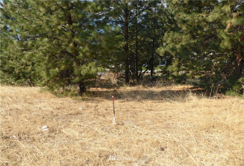 845 Summit, Manson, Washington 98831, ,Land,For Sale,COE 2012 - 20,Summit,NWM1832871