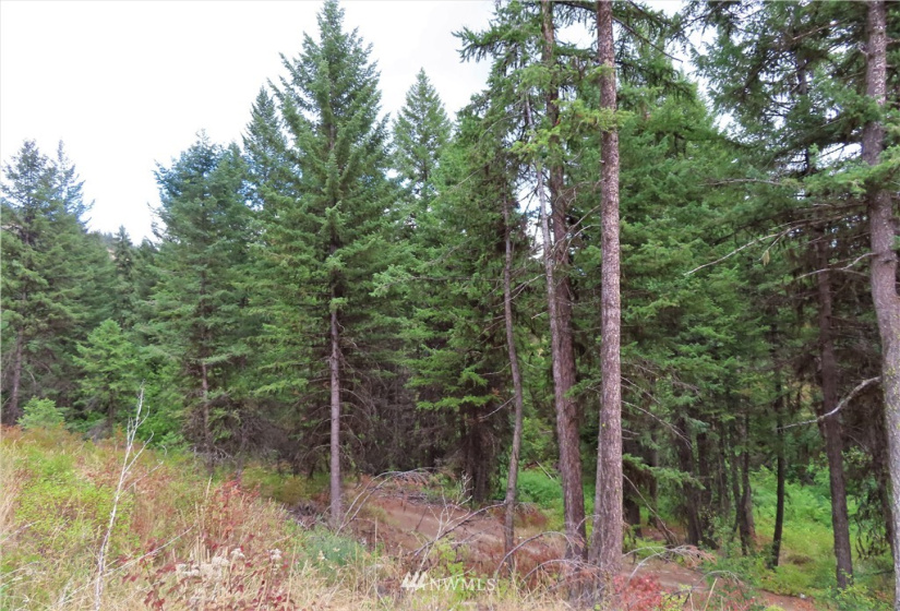 340 Bardwell, Curlew, Washington 99118, 2 Bedrooms Bedrooms, ,Residential,For Sale,Bardwell,NWM1832804