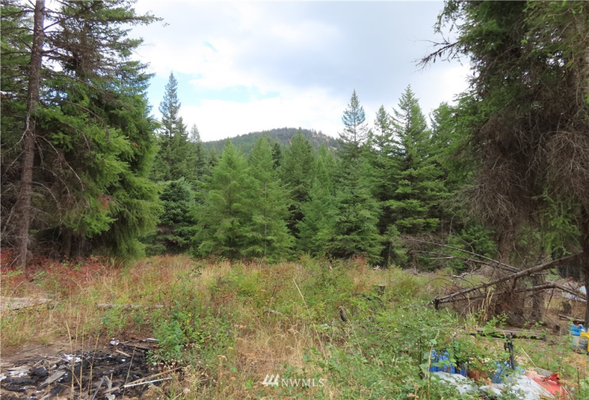 340 Bardwell, Curlew, Washington 99118, 2 Bedrooms Bedrooms, ,Residential,For Sale,Bardwell,NWM1832804