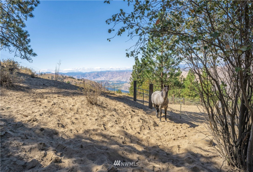 105 Rocky, Orondo, Washington 98843, 1 Bedroom Bedrooms, ,1 BathroomBathrooms,Residential,For Sale,CHELAN HILLS ACREAGE TRACTS,Rocky,NWM1833027