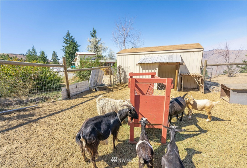 105 Rocky, Orondo, Washington 98843, 1 Bedroom Bedrooms, ,1 BathroomBathrooms,Residential,For Sale,CHELAN HILLS ACREAGE TRACTS,Rocky,NWM1833027